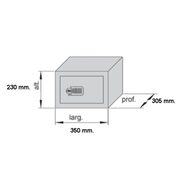 Vendita online Cassaforte esterna elettronica Privacy 23x35x30,5 cm